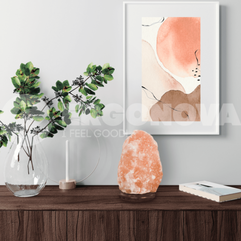 Соляная лампа Ergonova Himalay Crystal Large 18-22kg (Скала 18-22 кг)